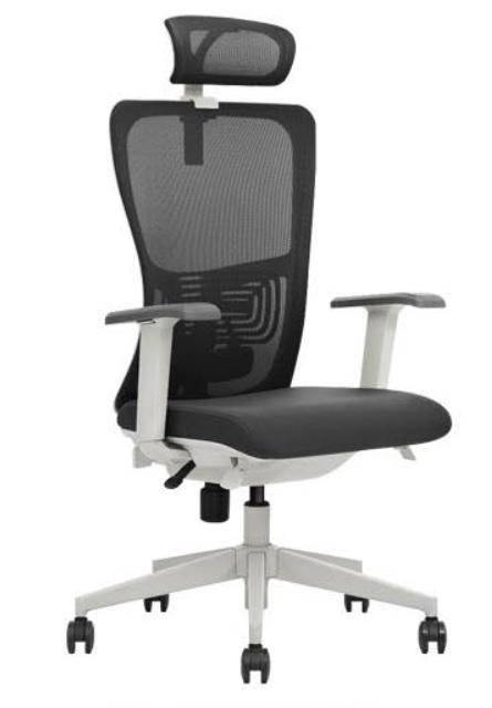 K5-GM Ergonomic Executive Chair - MyDesk.SG