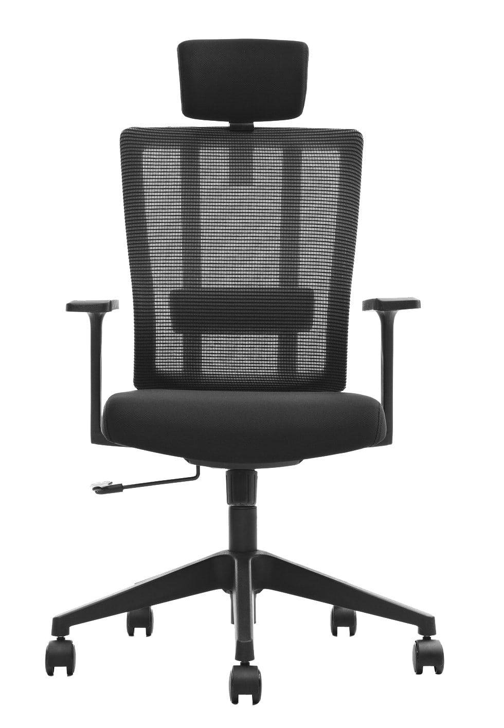 X3M Ergonomic Executive Chair - MyDesk.SG