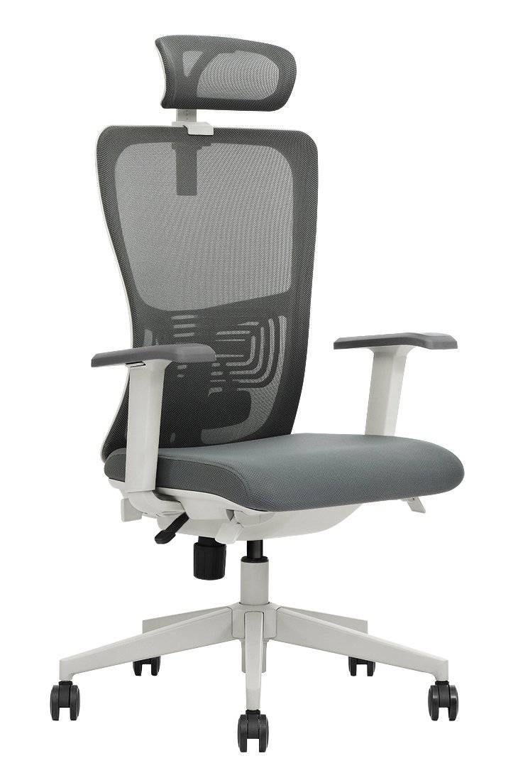 K5-GH Ergonomic Executive Chair - MyDesk.SG