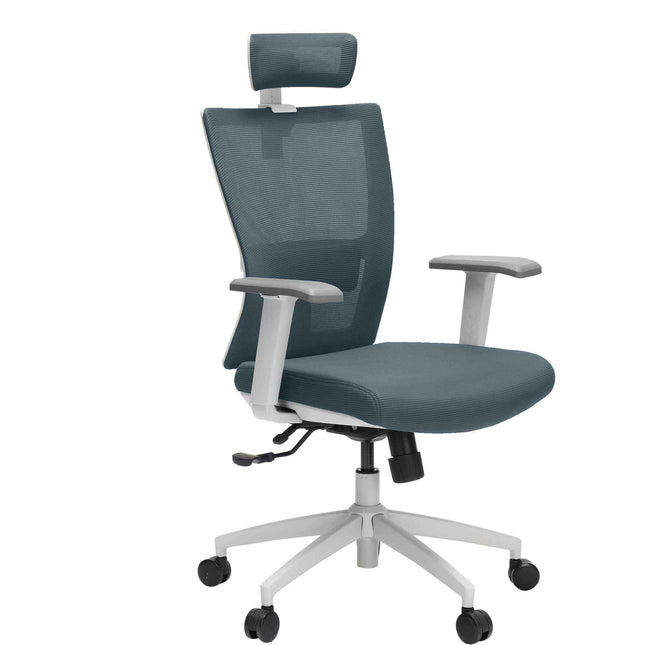 M1S Ergonomic Executive Chair - MyDesk.SG