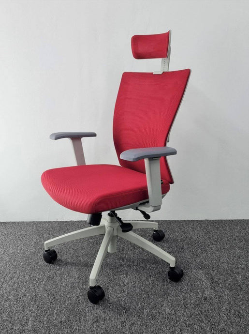 M1S Ergonomic Executive Chair - MyDesk.SG