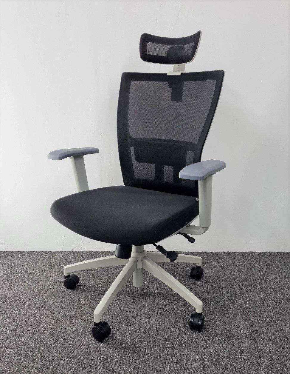M1S Ergonomic Executive Chair