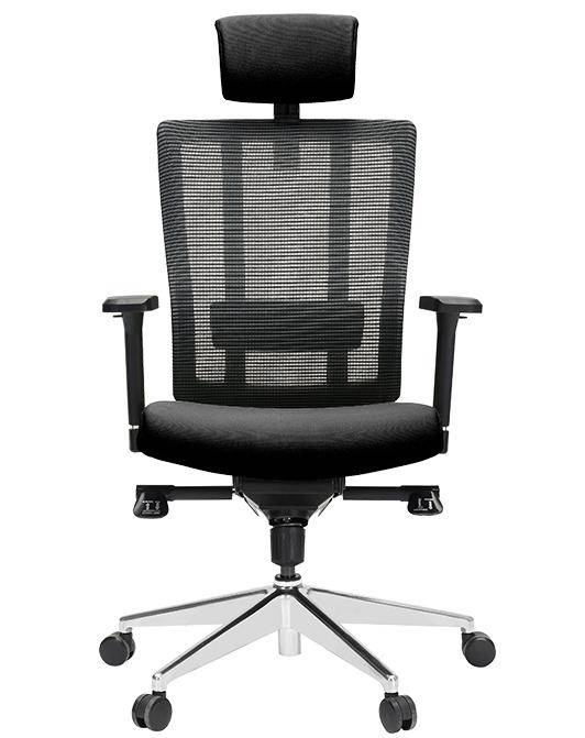 X3S Ergonomic Executive Chair - MyDesk.SG